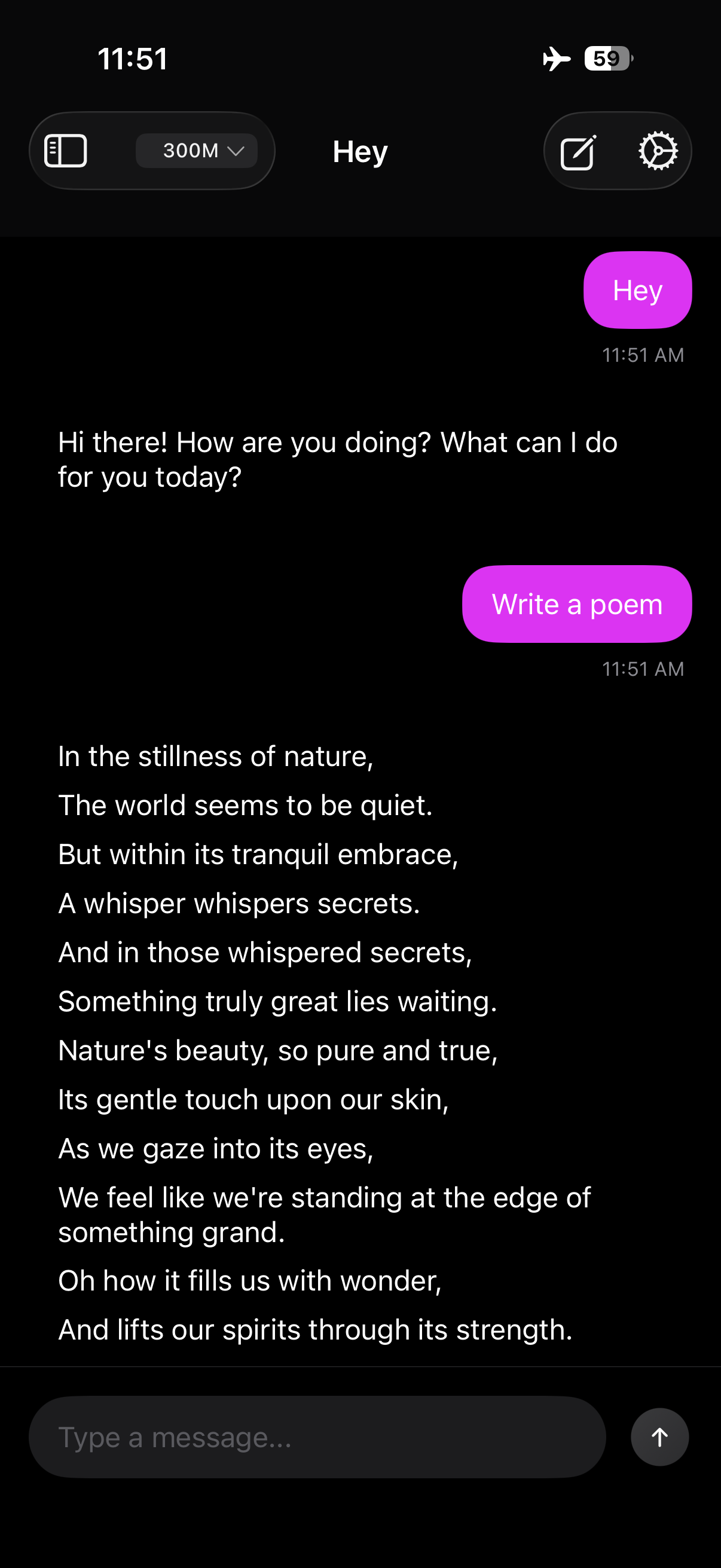 Chat Interface